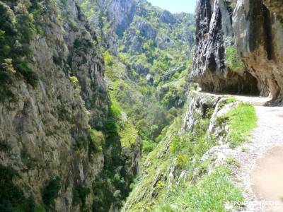 Ruta Cares-Picos de Europa; parque natural de la sierra de la estrella puente de mayo madrid rutas e